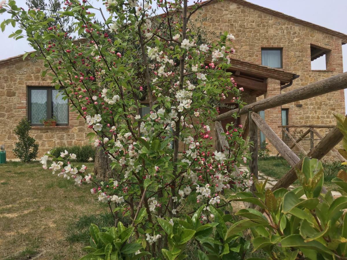 Villa Residenza Al Poggio Degli Ulivi Montepulciano Stazione Exterior foto